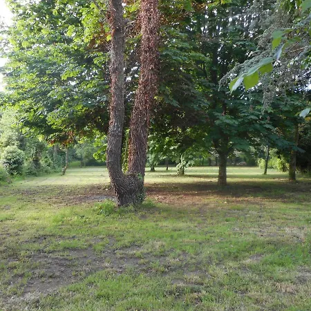 住宿加早餐酒店 Prieure St Pierre De La Luthumiere *