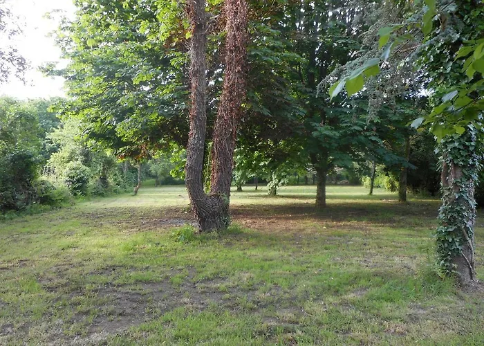 Couette-café Prieure St Pierre De La Luthumiere *