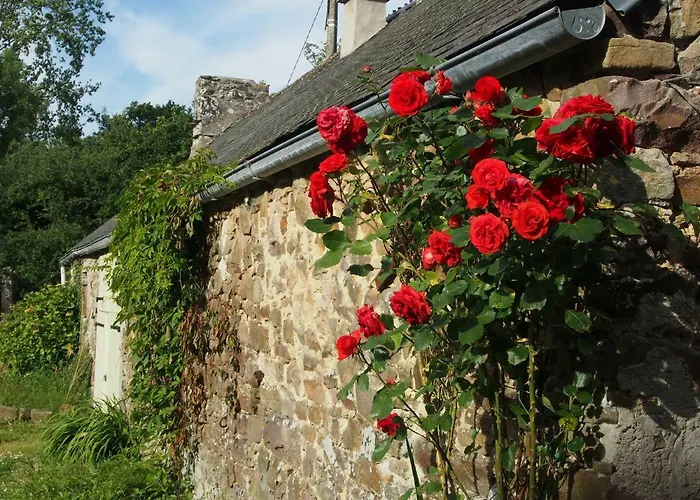Prieure St Pierre De La Luthumiere Couette-café *