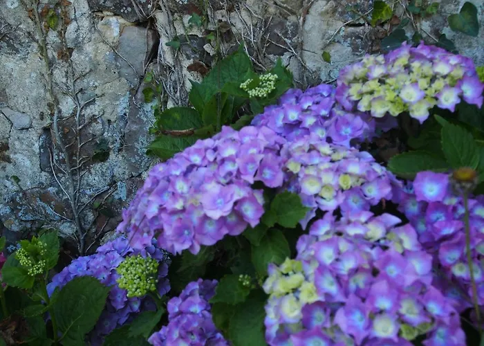 Prieure St Pierre De La Luthumiere